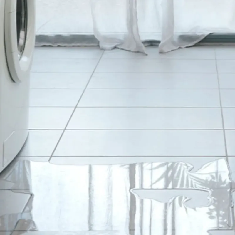 Appliance Leak Cleanup in Sumner, WA