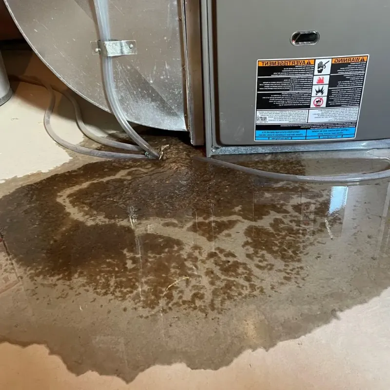 Pipe Burst and Leak Restoration in Sumner, WA